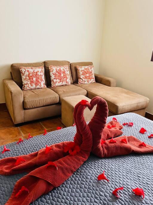 Suenos De Amor! Hermoso Y Acogedor Lugar ケポス エクステリア 写真